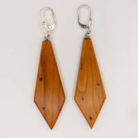 1 Paar Ohrringe aus dem Holz der Eibe Bild 6