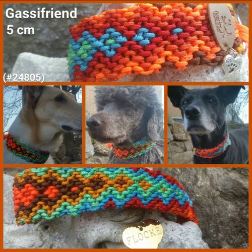 Hundehalsband 5 cm breit #Gassifriend ...mein Hund mein "BestFriend"