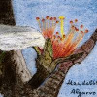 Mandelblütenzweig Algarve - Pastellkreide (Puzzle) • 1000 Teile • gelegte Größe: 68 x 48 cm Bild 4