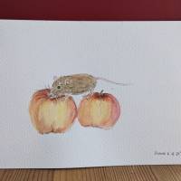 Aquarell Bild Grußkarte Maus mit Äpfeln Bild 2