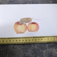 Aquarell Bild Grußkarte Maus mit Äpfeln Bild 7