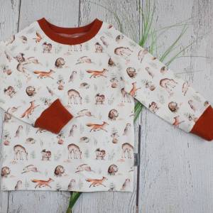 Waldtiere Langarmshirt Longsleeve Raglan T-Shirt wollweiß  terracotta Kinderkleidung handmade Bild 1