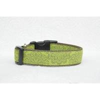 Welpenhalsband SpitzenWerk grün ohne Unterfütterung (größere Verstellbarkeit) aus der Halsbandmanufaktur von dogs & paw Bild 1