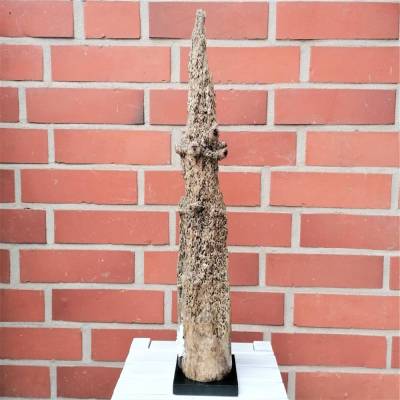 Treibholz/Schwemmholz  Skulptur/Stele/Statue Bohrmuschel Austern