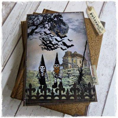 Bild oder Buchcover Metamorphose