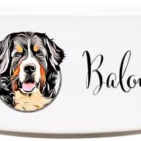 Keramik Futternapf BERNER SENNENHUND ︎ personalisiert ︎ Hundenapf mit Name Bild 1