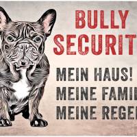 Hundeschild BULLY SECURITY, wetterbeständiges Warnschild Bild 1