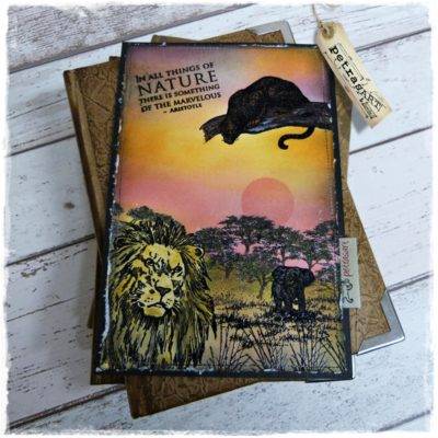 Bild oder Buchcover Die Sonne Afrikas