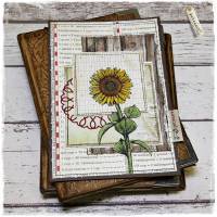 Bild oder Buchcover Sonnenblume Bild 1