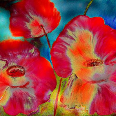 Zart erblüht und farbenprächtig – edles Digital-ART Kunstwerk limitiert auf 10  – Design  Ulrike Kröll