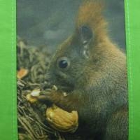 Eichhörnchen-Tasche 'Maxi', Kindertasche, Unikat Bild 2