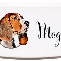 Keramik Futternapf BEAGLE ︎ personalisiert ︎ Hundenapf mit Name Bild 1