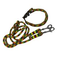 Leine Halsband Set verstellbar, grün, rot, orange, gelb, Edelstahl, Wunschlänge Bild 1