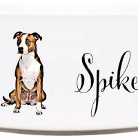 Keramik Futternapf PITBULL ︎ personalisiert ︎ Hundenapf mit Name Bild 1