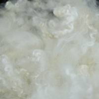 100 Gramm Spinnwolle vom Wensleydale zum Spinnen, Filzen, Basteln Bild 3