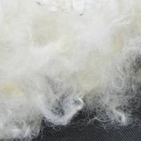 100 Gramm Spinnwolle vom Wensleydale zum Spinnen, Filzen, Basteln Bild 5