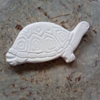 Schildkröte - 1 Rohling, Relief aus hochwertigem Stuckgips  zum selber bemalen Bild 3