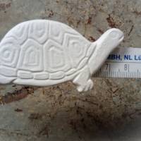 Schildkröte - 1 Rohling, Relief aus hochwertigem Stuckgips  zum selber bemalen Bild 4