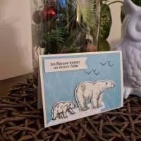 Geburtstagskarte - Eisbär mit Junges - Eisscholle Bild 4