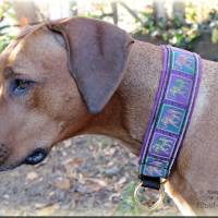 Halsband INDIA mit Zugstopp für Hunde, Elefant  Hundehalsband in verschiedenen Farben für den großen Hund Bild 2