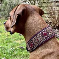 Halsband INDIA mit Zugstopp für Hunde, Elefant  Hundehalsband in verschiedenen Farben für den großen Hund Bild 7