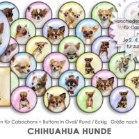 CHIHUAHUA Hunde 30 Cabochonvorlagen Cabochon Vorlagen digital Download Buttonvorlagen Bilder für Schmuck Cabochon Bild 1