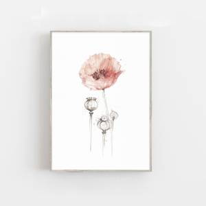 Aquarell Mohnblume Kunstdruck, Badezimmer Wandkunst, Wildblume Kunstdruck Bild 1