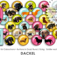 DACKEL Hunde 30 Cabochonvorlagen Cabochon Vorlagen digital Download Buttonvorlagen Bilder für Schmuck Cabochon Bild 1
