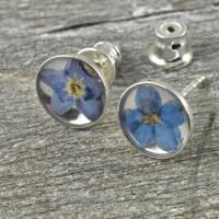 Blüten Ohrringe, Stecker aus 925er Silber mit echten Blüten, Vergissmeinnicht, blaue Blüten, runde Ohrstecker Bild 1