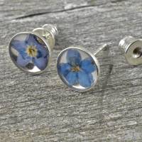 Blüten Ohrringe, Stecker aus 925er Silber mit echten Blüten, Vergissmeinnicht, blaue Blüten, runde Ohrstecker Bild 2