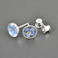 Blüten Ohrringe, Stecker aus 925er Silber mit echten Blüten, Vergissmeinnicht, blaue Blüten, runde Ohrstecker Bild 3