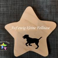 Andenken an ein Haustier, Geschenk für Hundebesitzer, personalisierter Stern aus Holz mit Hundepfoten, Schatten Bild 1