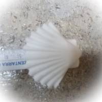 Kleine Muschel - 1 Figur aus hochwertigem Stuckgips zum selber Malen ohne Anhänger Bild 4