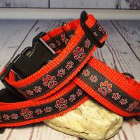 Hundehalsband Halsband "Pfoten-Liebe" rot 25cm-36cm, 2,5cm breit Bild 1