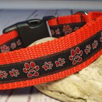 Hundehalsband Halsband "Pfoten-Liebe", rot, 29cm-45cm, 2,5cm breit Bild 2