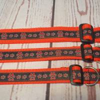 Hundehalsband Halsband "Pfoten-Liebe", rot, 29cm-45cm, 2,5cm breit Bild 4