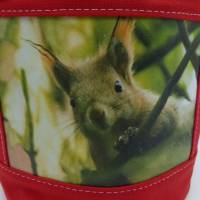 Utensilo 'der vorwitzige Fips', Brotkörbchen mit Eichhörnchen Bild 7