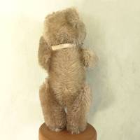 Alter kleiner Steiff Teddy 15 cm vor 1970 mit Fahne Bild 6