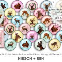 HIRSCH + REH Muster 30 Cabochonvorlagen Cabochon Vorlagen digital Download Buttonvorlagen Schmuckbilder Button Bild 1
