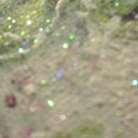ROSA STIEFMÜTTERCHEN - kleines Blumenbild auf Leinwand je 20cmx20cm mit Glitter und Strukturpaste Bild 8