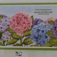 Florale Glückwunschkarte zum Geburtstag  mit Grusstext Handgefertigt mit Stampin'Up Produkten Unikat Bild 1