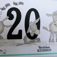 Glückwunschkarte zum 20. Geburtstag mit Eseln Handgefertigt mit Stampin Up Produkten Bild 3