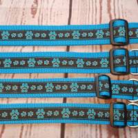 Hundehalsband Halsband "Pfoten-Liebe", blau, 30cm-44cm, 2,5cm breit Bild 3