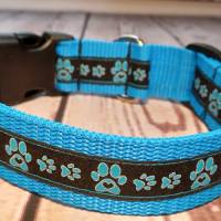 Hundehalsband Halsband "Pfoten-Liebe", blau, 30cm-45cm, 2,5cm breit Bild 1