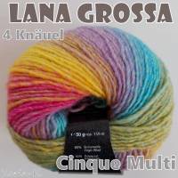 4 Knäuel 200 Gramm Cinque Multi von Lana Grossa in wunderschönen Farbverläufen Farbe 011 Partie 2942