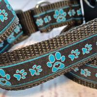 Hundehalsband Halsband "Pfoten-Liebe", blau, 23cm-34cm, 2,5cm breit Bild 1