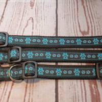 Hundehalsband Halsband "Pfoten-Liebe", blau, 23cm-34cm, 2,5cm breit Bild 4