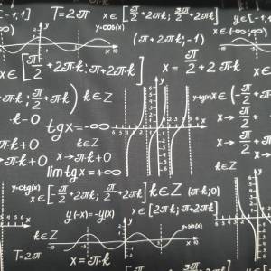 11.90 Euro/m Toller Baumwollstoff Mathe Mathematik Bild 3