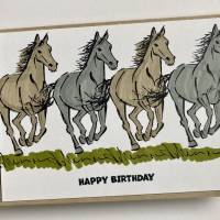 Geburtstagskarte mit Pferden Grußkarte Pferdekarte Reitsport Stampin up! Handarbeit Unikat Bild 1