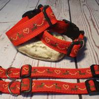 Hundehalsband Halsband "Dackel-Liebe", rot, 21cm-31cm, 2cm breit Bild 1